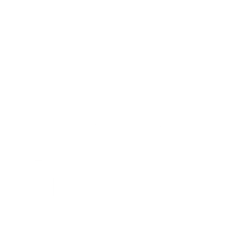 Ralph Bunche Institute
